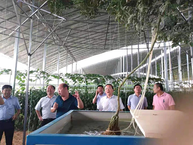 &#20048;&#25237;&#22312;&#32447;&#45;&#20048;&#25237;&#22312;&#32447;&#40;&#20013;&#22269;&#41;